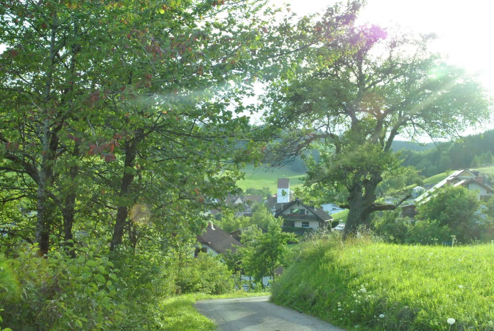 Gasthaus Kranz Lausheim Bagian luar foto