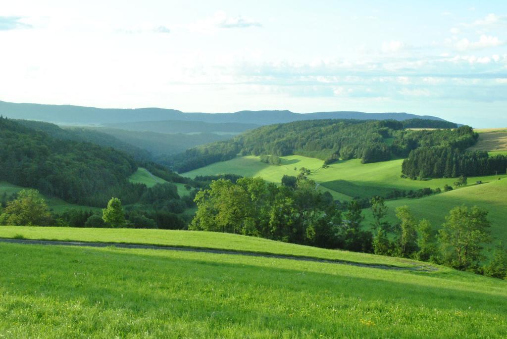 Gasthaus Kranz Lausheim Bagian luar foto