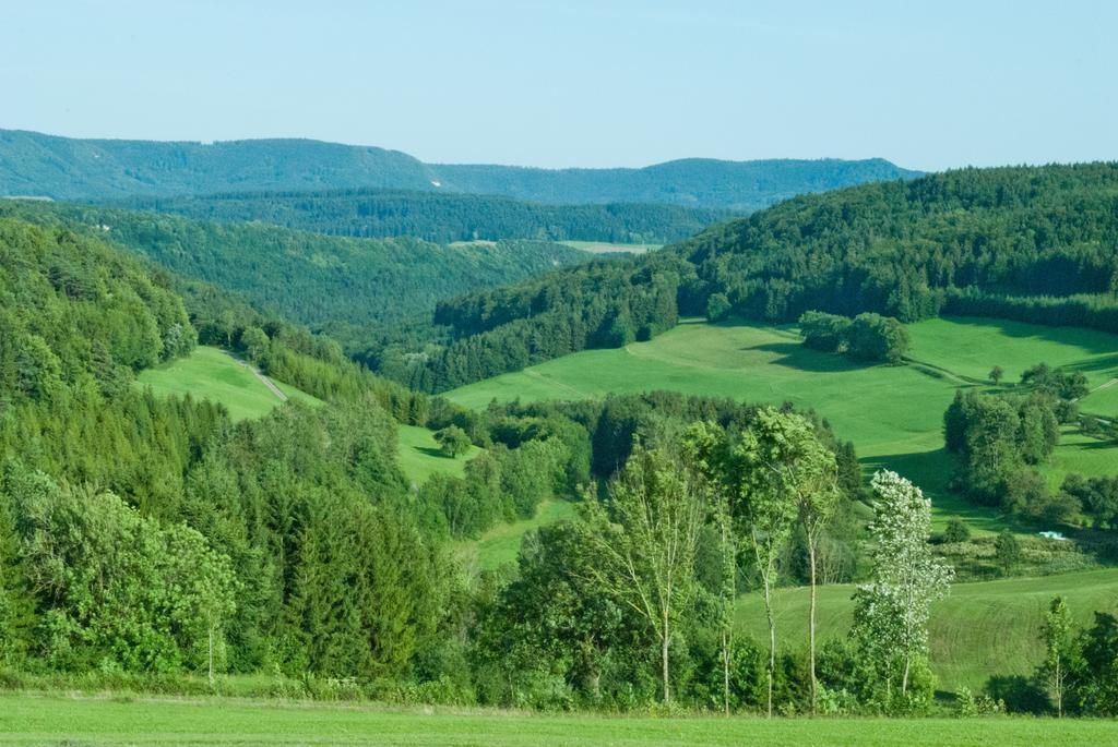Gasthaus Kranz Lausheim Bagian luar foto